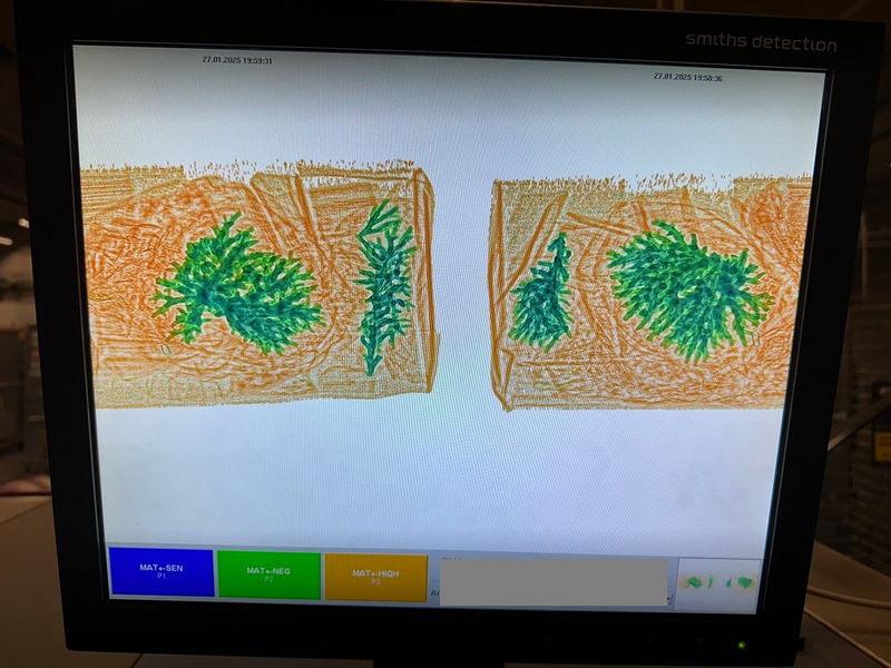 HZA-SB: Verbotener Paketinhalt/ ZOLL beschlagnahmt Steinkoralle - Foto: presseportal.de