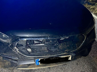 POL-PDLD: Edenkoben - Wildunfall - Foto: presseportal.de