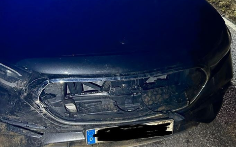 POL-PDLD: Edenkoben - Wildunfall - Foto: presseportal.de