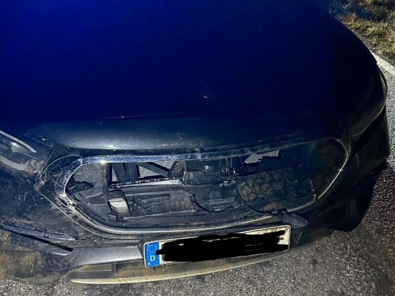 POL-PDLD: Edenkoben - Wildunfall - Foto: presseportal.de