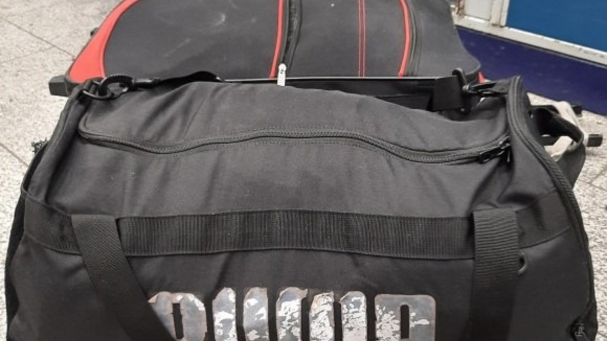 BPOLI EF: Nicht zuzuordnendes Gepäckstück ruft Sprengstoffsuchhund auf den Plan - Foto: presseportal.de