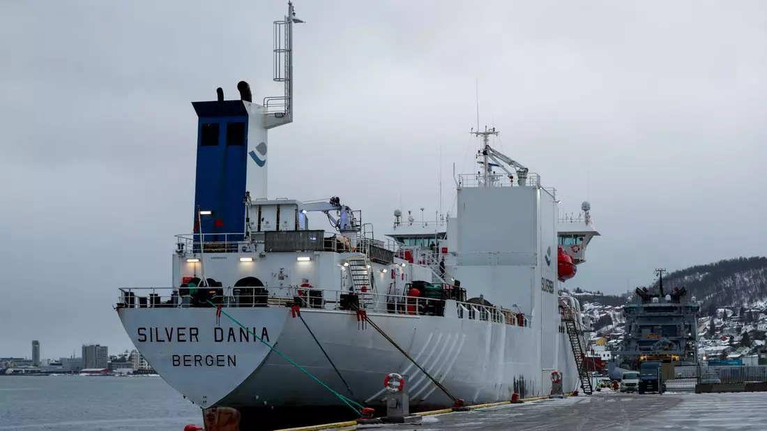 Das Schiff «Silver Dania» wurde für Ermittlungen in den Hafen von Tromsø gebracht. - Bild: Rune Stoltz Bertinussen/NTB/dpa
