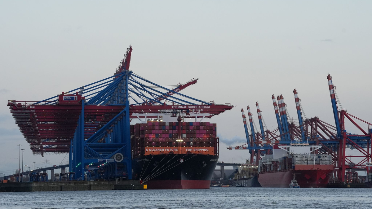 Containerschiffe von Hapag-Lloyd und Maersk liegen im Hamburger Hafen. (Archivbild) - Foto: Marcus Brandt/dpa