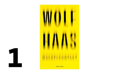 1. Platz der SWR Bestenliste im Februar 2025: Wackelkontakt - Foto: presseportal.de