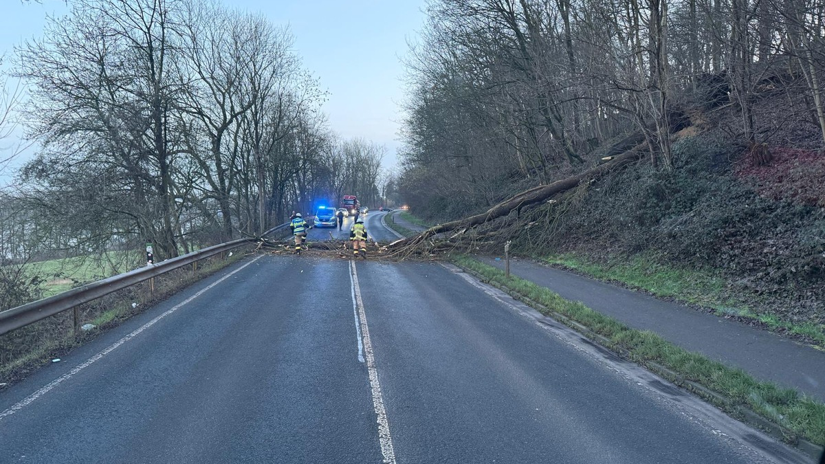 FW Xanten: Zwei umgestürzte Bäume auf der B57 - zeitintensive Beseitigung - Foto: presseportal.de