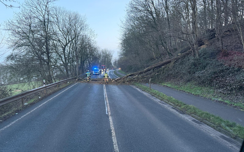 FW Xanten: Zwei umgestürzte Bäume auf der B57 - zeitintensive Beseitigung - Foto: presseportal.de