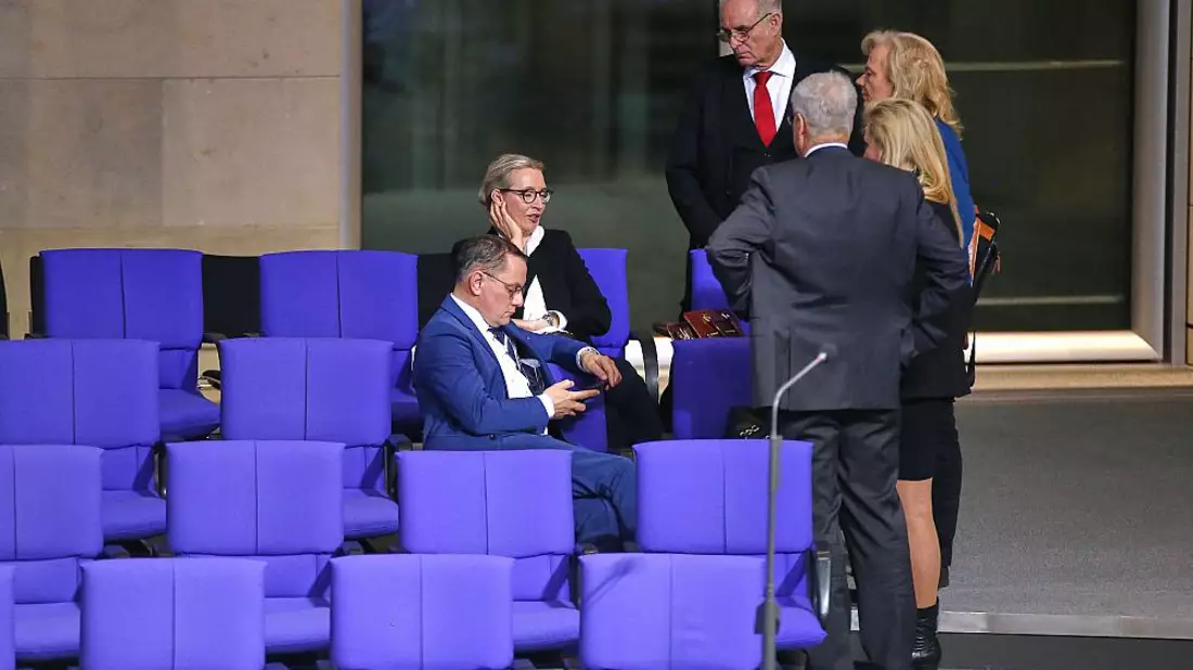 AfD-Abgeordnete im Bundestag am 31.01.2025 - Bild: über dts Nachrichtenagentur