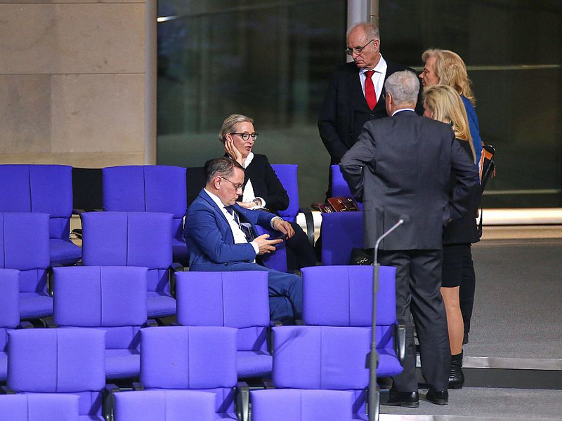AfD-Abgeordnete im Bundestag am 31.01.2025 - Foto: über dts Nachrichtenagentur