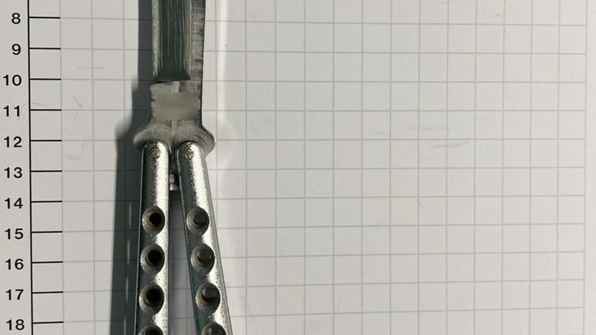 BPOL NRW: 18 Monate Haft für gesuchten Straftäter - Bundespolizei vollstreckt Haftbefehl - Foto: presseportal.de