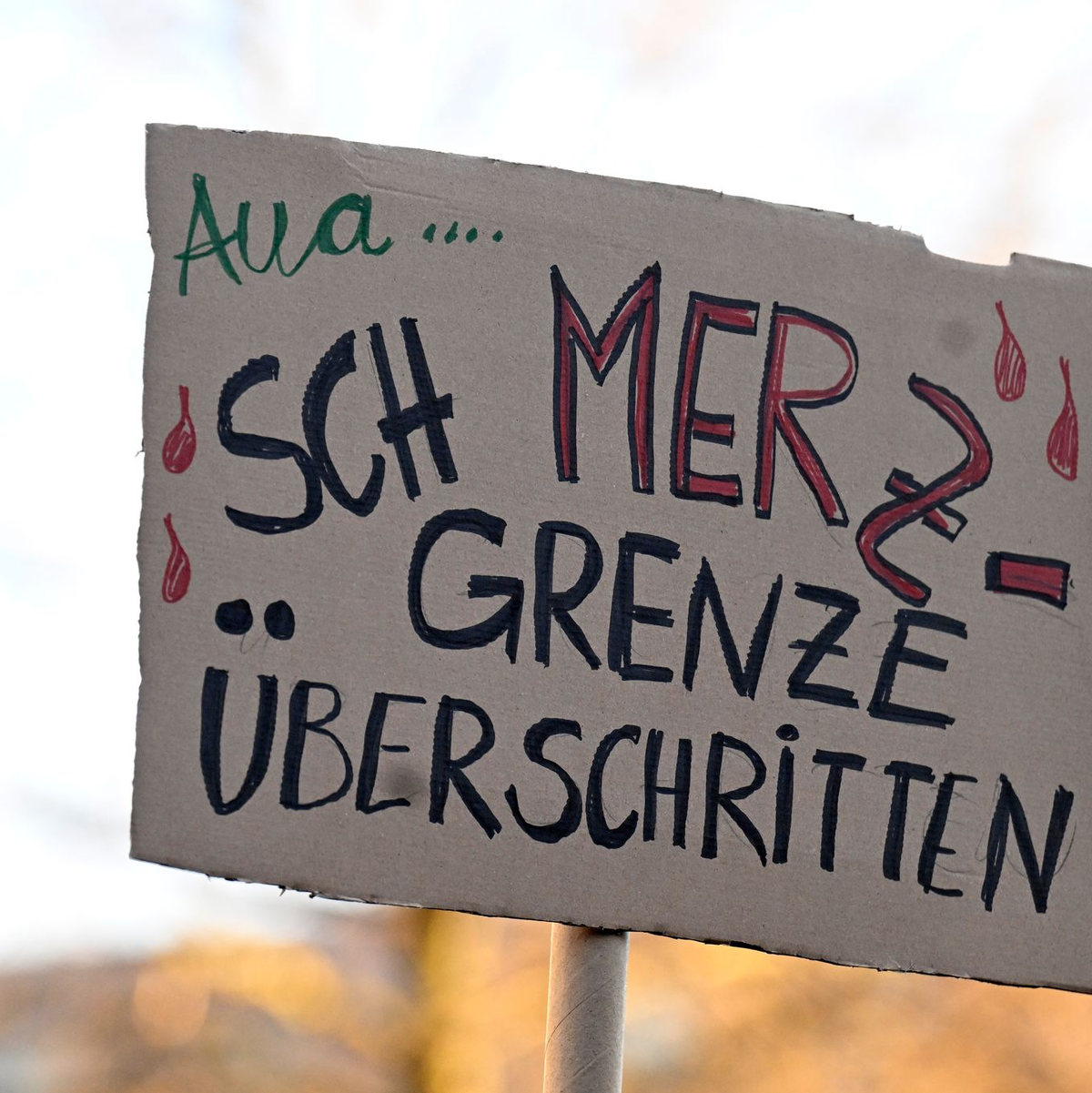 In Köln demonstrieren Wassersportler auf dem Rhein. - Foto: Roberto Pfeil/dpa