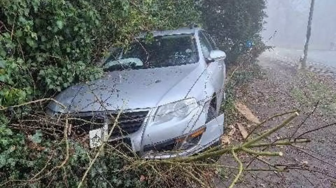 POL-NI: Verkehrsunfall aufgrund nebeliger Sichtverhältnisse - Bild: presseportal.de