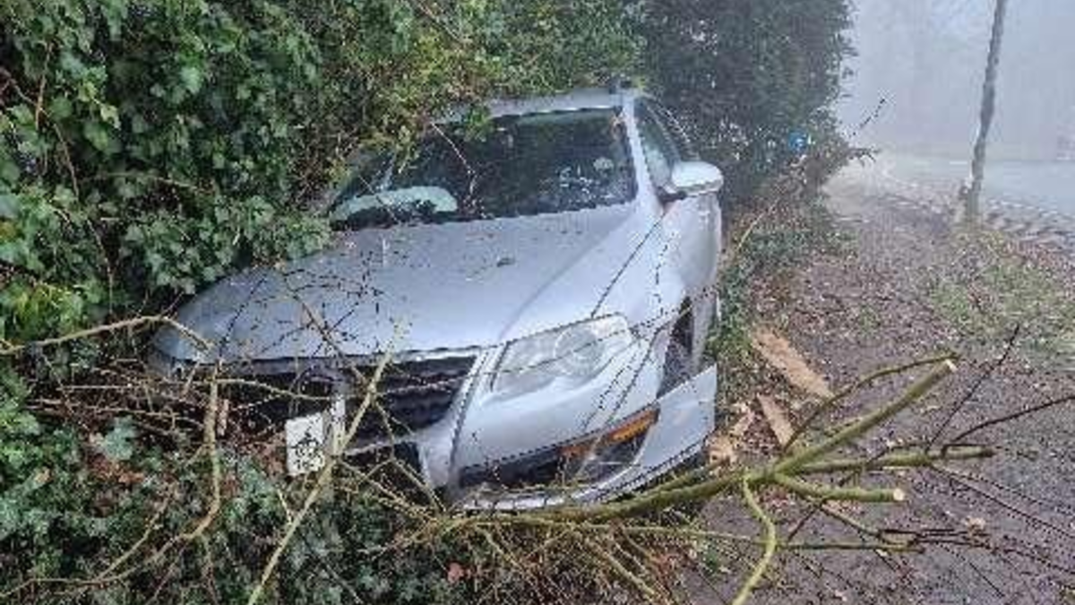 POL-NI: Verkehrsunfall aufgrund nebeliger Sichtverhältnisse - Foto: presseportal.de