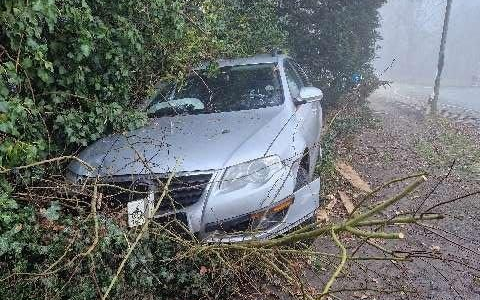 POL-NI: Verkehrsunfall aufgrund nebeliger Sichtverhältnisse - Foto: presseportal.de