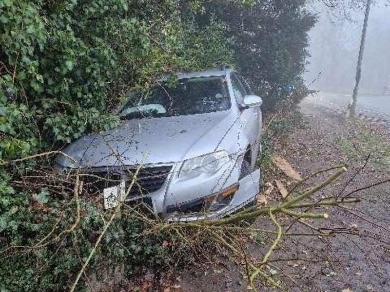 POL-NI: Verkehrsunfall aufgrund nebeliger Sichtverhältnisse - Foto: presseportal.de