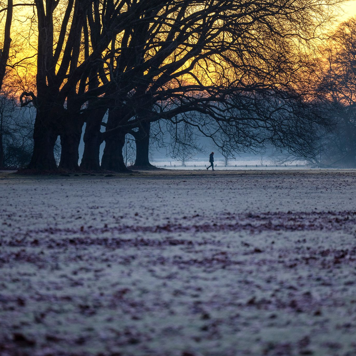 Die Woche startet in Deutschland vielerorts mit Sonne, Nebel und Frost. - Foto: Thomas Banneyer/dpa