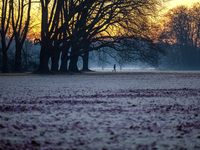 Die Woche startet in Deutschland vielerorts mit Sonne, Nebel und Frost. - Foto: Thomas Banneyer/dpa