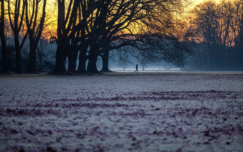 Die Woche startet in Deutschland vielerorts mit Sonne, Nebel und Frost. - Foto: Thomas Banneyer/dpa