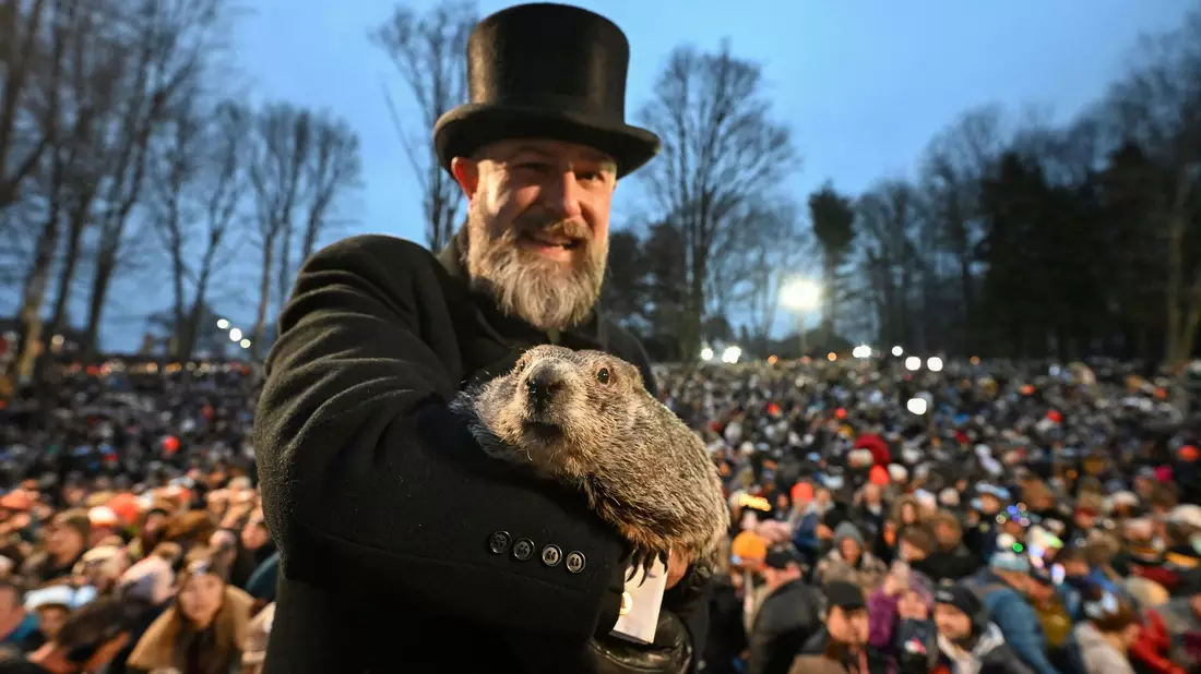Punxsutawney Phil, das wettervorhersagende Murmeltier, hat sechs weitere Wochen Winterwetter vorausgesagt.  - Bild: Barry Reeger/AP/dpa