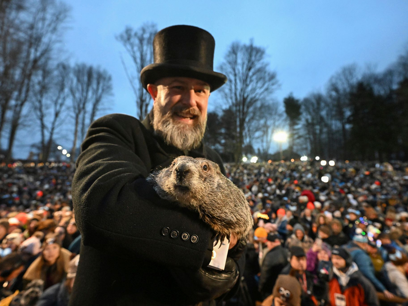 Punxsutawney Phil, das wettervorhersagende Murmeltier, hat sechs weitere Wochen Winterwetter vorausgesagt.  - Foto: Barry Reeger/AP/dpa