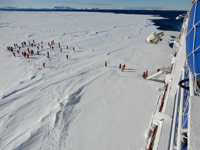 Wie nah ist zu nah? Das fragen sich Experten, wenn es um die Pinguin-Kolonien in der Antarktis und die Touristen geht. - Foto: Ricardo Roura/dpa