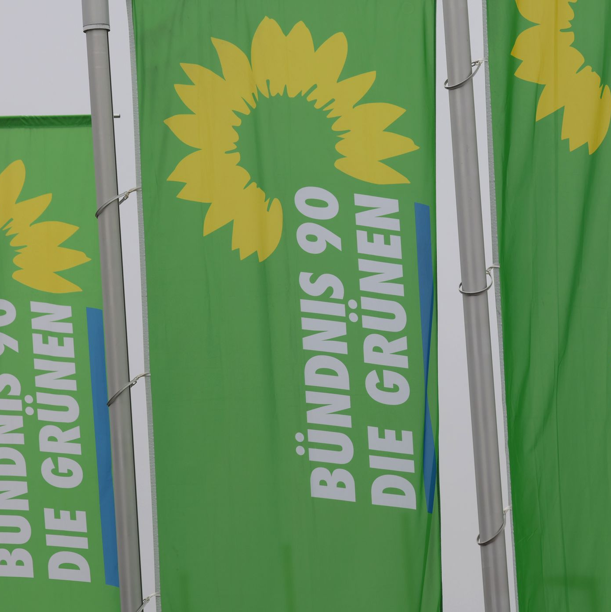 Bundesweit verbuchen die Grünen Tausende Neueintritte. (Archivbild)  - Foto: Karl-Josef Hildenbrand/dpa