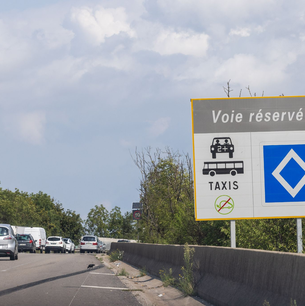Wie bald in Paris gibt es eine sogenannte Umweltspur bereits unter anderem in Straßburg und Lyon (Archivbild). - Foto: Philipp von Ditfurth/dpa