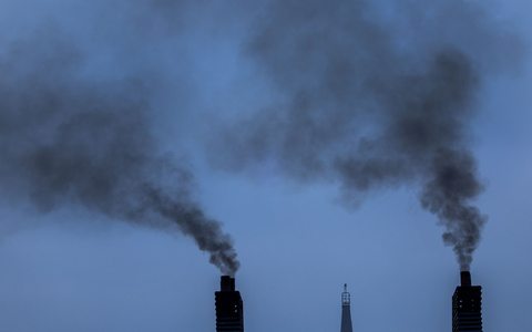 Die CO-Emissionen von Containerschiffen in der EU sind gestiegen. (Symbolbild)  - Foto: Jens Büttner/dpa