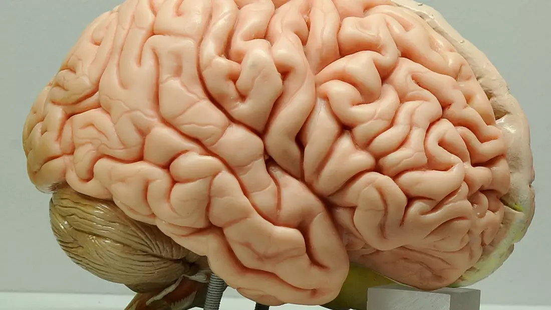 Auffällig hoch war in einer Studie die Plastikbelastung in den Gehirnen von Menschen mit Demenz - ob ein kausaler Zusammenhang besteht, ist aber unklar. (Symbolbild) - Bild: Ingo Wagner/dpa