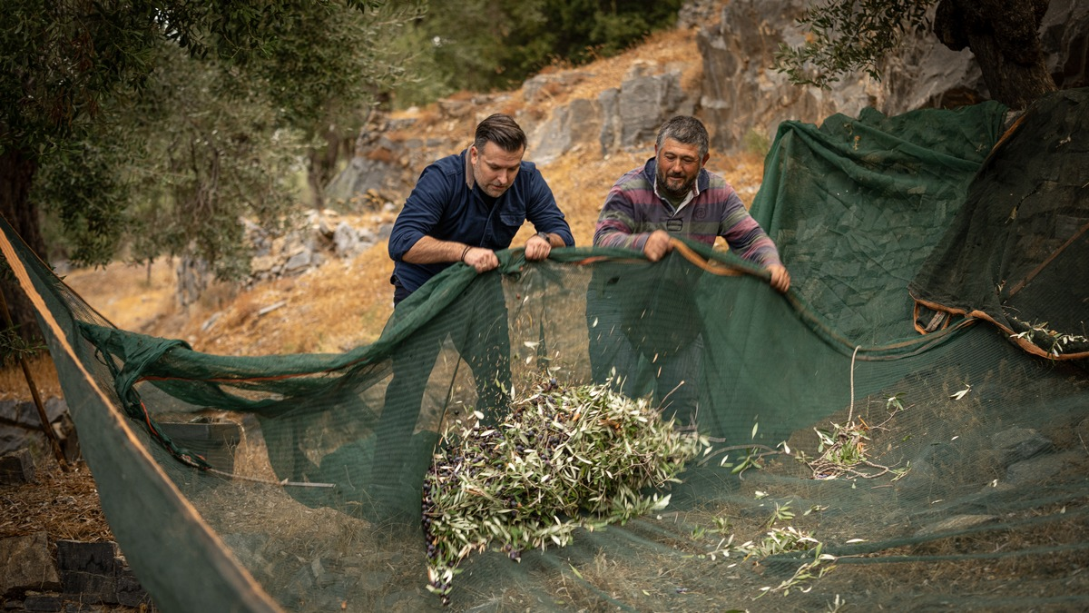 Jordan Olivenöl senkt Preise / Erfolgreiche Ernte und Marktentspannung bringen Vorteile für Verbraucher - Foto: presseportal.de