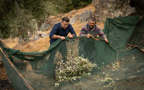 Jordan Olivenöl senkt Preise / Erfolgreiche Ernte und Marktentspannung bringen Vorteile für Verbraucher - Foto: presseportal.de