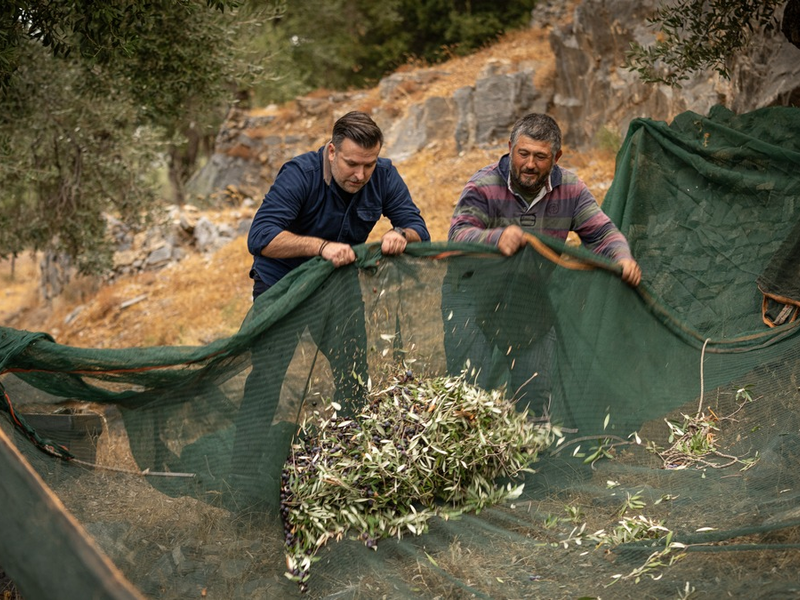 Jordan Olivenöl senkt Preise / Erfolgreiche Ernte und Marktentspannung bringen Vorteile für Verbraucher - Foto: presseportal.de