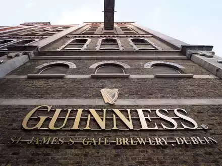 Die Nachfrage nach Guinness stieg zum Jahresende stark an. (Symbolbild) - Foto: Christian Charisius/dpa