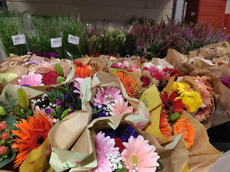 Blumen (Archiv) - Foto: über dts Nachrichtenagentur