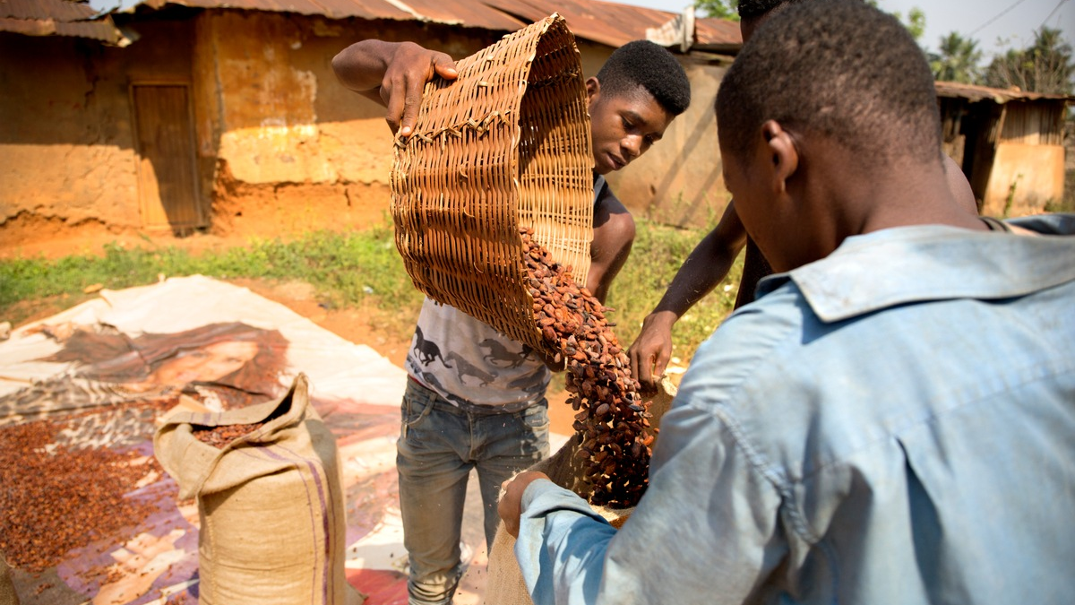 Mehr als nur Schokolade: Wie Tony's Chocolonely erfolgreich mit Fairness und Verantwortung vorangeht - Foto: presseportal.de