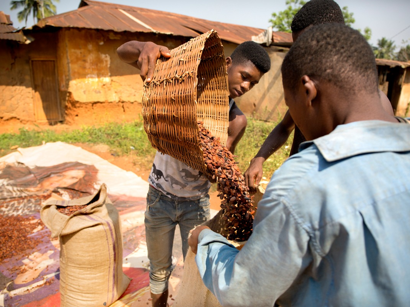 Mehr als nur Schokolade: Wie Tony's Chocolonely erfolgreich mit Fairness und Verantwortung vorangeht - Foto: presseportal.de
