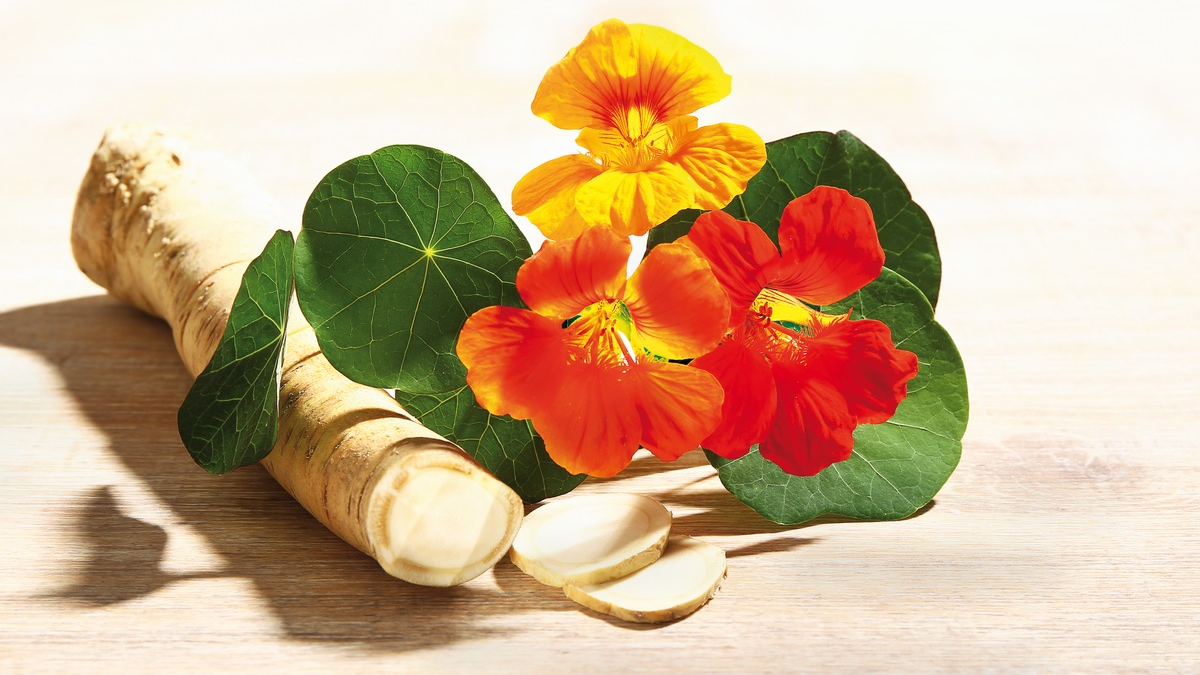 Europäische Antibiotikawoche 2024 / Wege aus der Antibiotika-Falle - Foto: presseportal.de