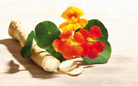 Europäische Antibiotikawoche 2024 / Wege aus der Antibiotika-Falle - Foto: presseportal.de