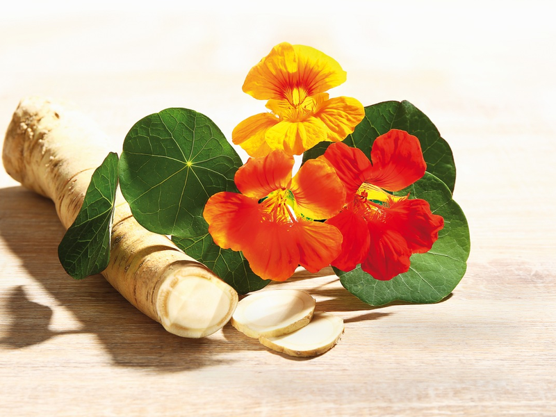 Europäische Antibiotikawoche 2024 / Wege aus der Antibiotika-Falle - Foto: presseportal.de