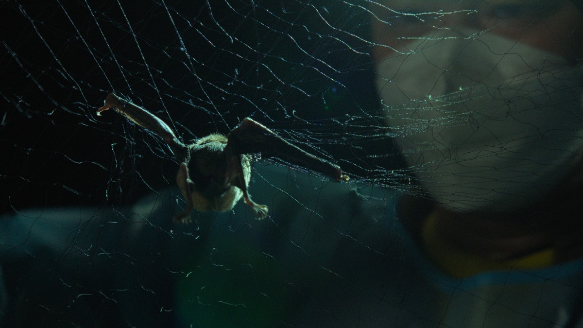 Ist die nächste Pandemie nur eine Frage der Zeit? ARD-Doku 