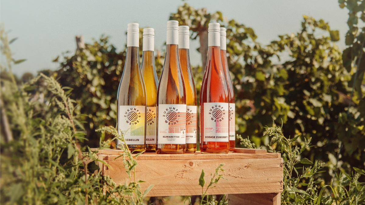 Nachhaltigkeit verkaufen? schiebezimmer zeigt am Beispiel Weinbau, wie ganze Branchen umdenken können - Foto: presseportal.de