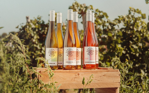 Nachhaltigkeit verkaufen? schiebezimmer zeigt am Beispiel Weinbau, wie ganze Branchen umdenken können - Foto: presseportal.de Nachhaltigkeit verkaufen? schiebezimmer zeigt am Beispiel Weinbau, wie ganze Branchen umdenken können - Foto: presseportal.de