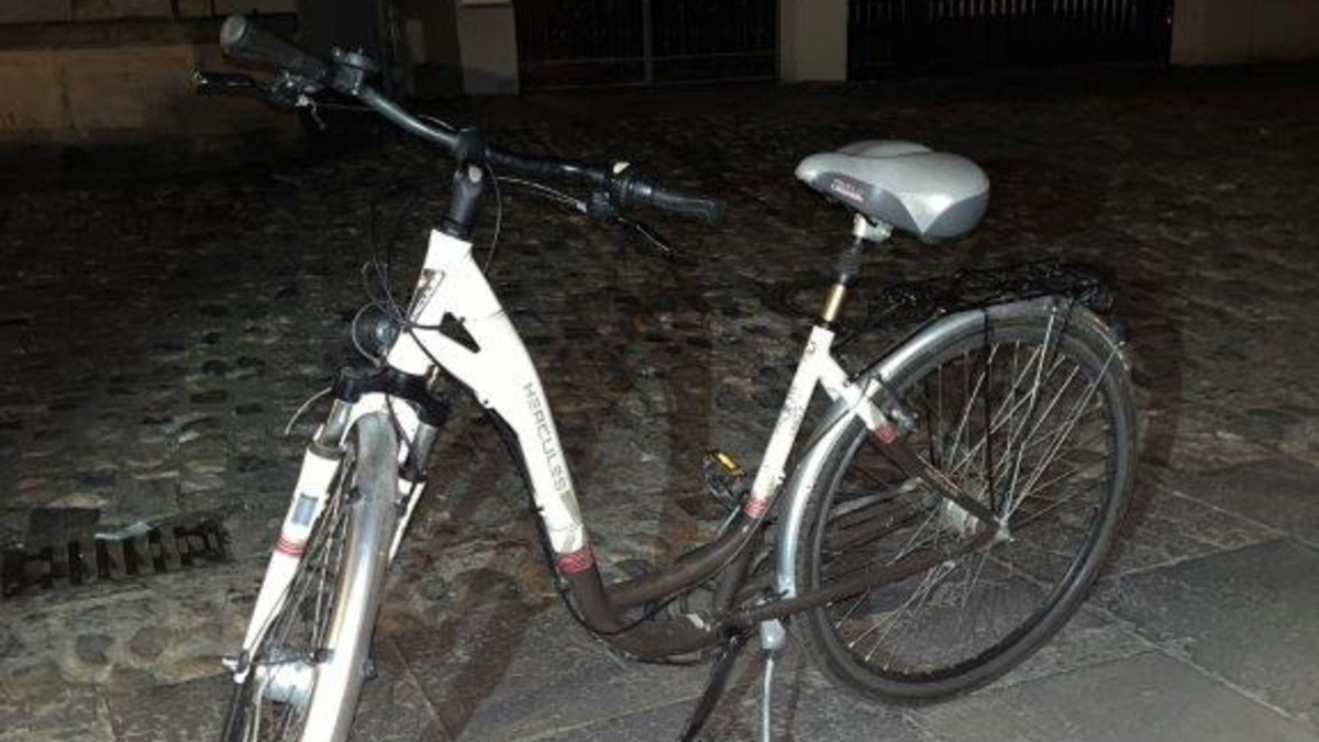LPI-SLF: Einbrecher inhaftiert und Eigentümer zu aufgefundenem Fahrrad gesucht - Foto: presseportal.de