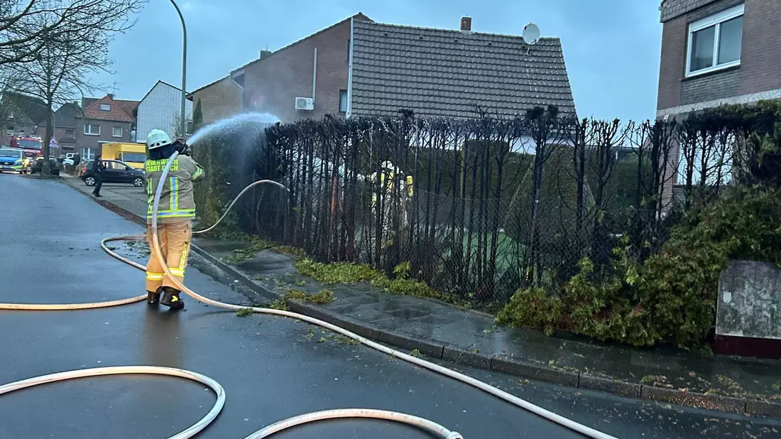 Feuerwehr Goch: Thuja-Hecke in Flammen - Bild: presseportal.de