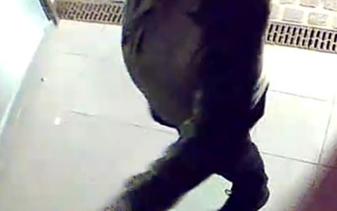 POL-ESW: Öffentlichkeitsfahndung - Foto: presseportal.de