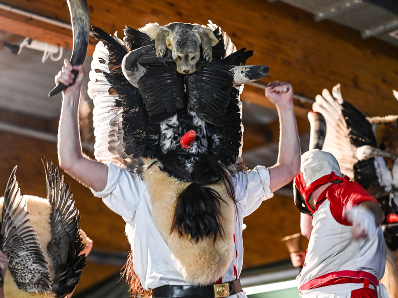Zum Klaasohm-Fest auf Borkum gehörte bis zum vergangenen Jahr das Schlagen von Frauen mit Kuhhörnern. (Archivbild) - Foto: Lars Penning/dpa