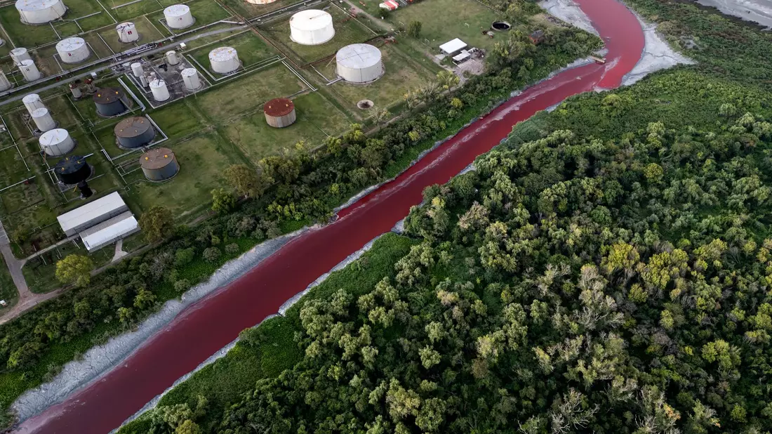 Das Umweltministerium der Provinz Buenos Aires entnahm Wasserproben zur chemischen Analyse. - Bild: Rodrigo Abd/AP/dpa