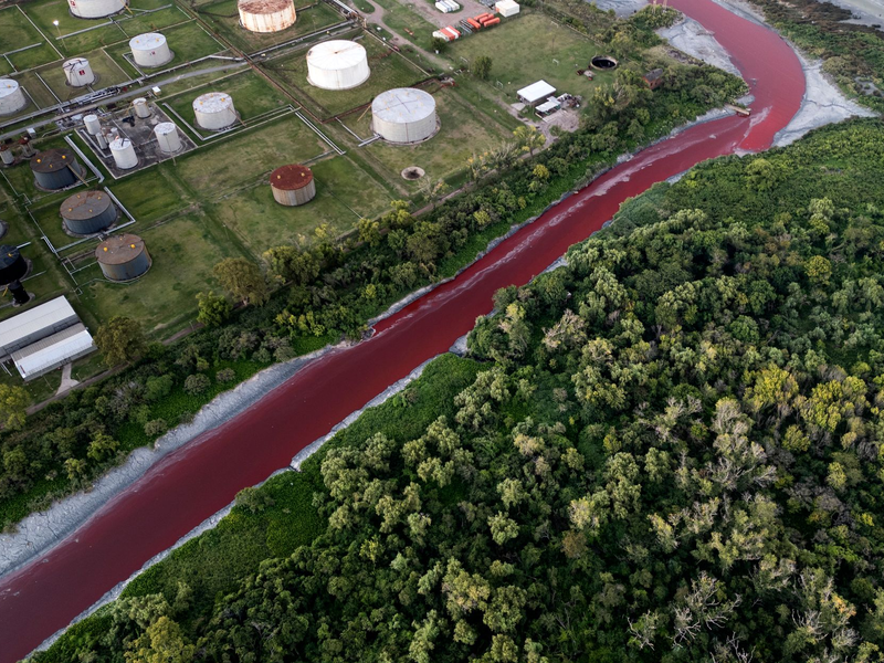 Das Umweltministerium der Provinz Buenos Aires entnahm Wasserproben zur chemischen Analyse. - Foto: Rodrigo Abd/AP/dpa