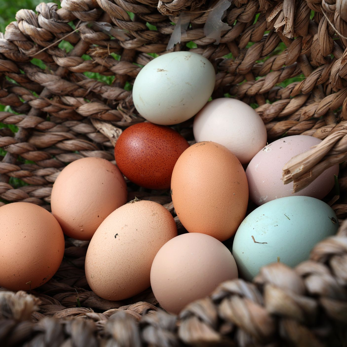 Es gibt nicht nur verschiedene Eier, sondern auch höchst verschiedene Arten, sie zu garen. (Archivbild) - Foto: Karl-Josef Hildenbrand/dpa