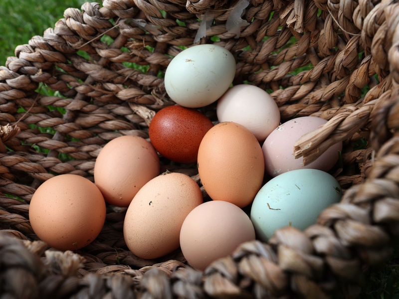 Es gibt nicht nur verschiedene Eier, sondern auch höchst verschiedene Arten, sie zu garen. (Archivbild) - Foto: Karl-Josef Hildenbrand/dpa