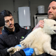 Der kleine Eisbär erweist sich schon als bärenstark. - Foto: Timo Deible/Zoo Karlsruhe/dpa